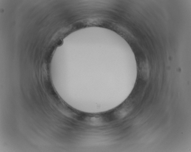 X0000077350506200611101617