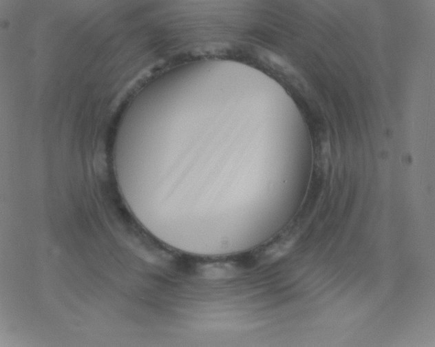 X0000077350508200611101617