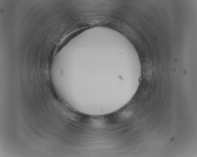 X0000077350510200611101617