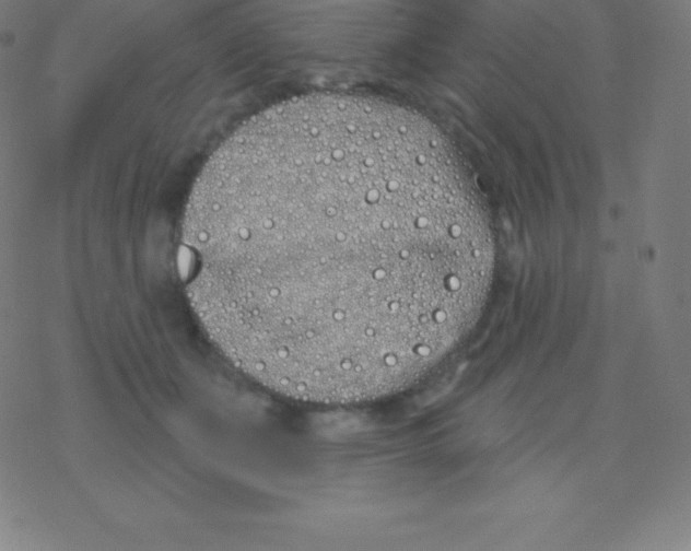 X0000077350511200611101617