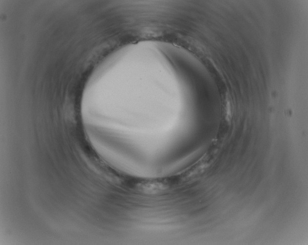 X0000077350512200611101617