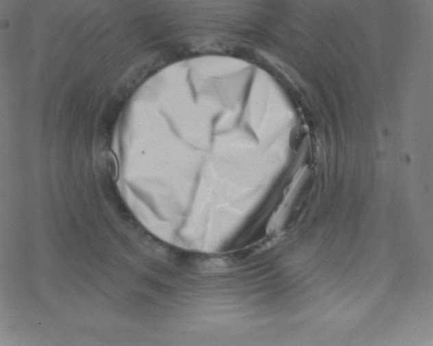 X0000077350513200611101617