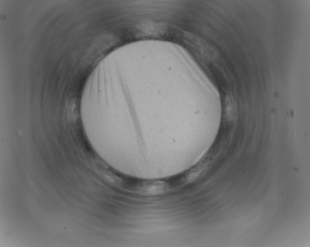 X0000077350514200611101617