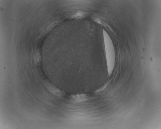 X0000077350517200611101617