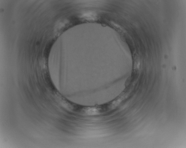 X0000077350518200611101617