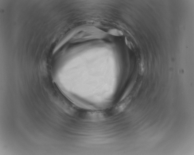 X0000077350520200611101617