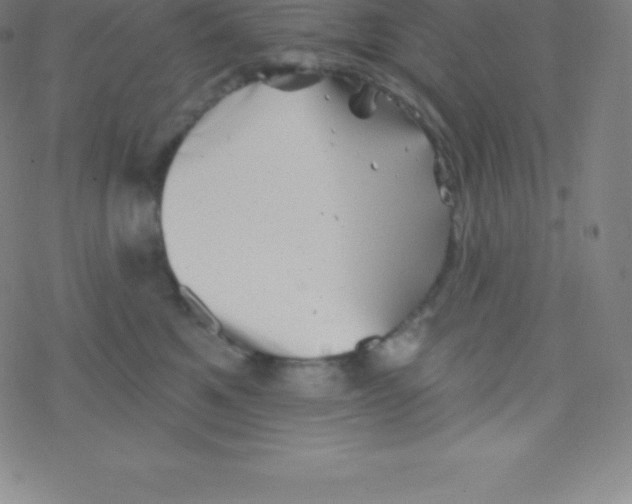 X0000077350521200611101617