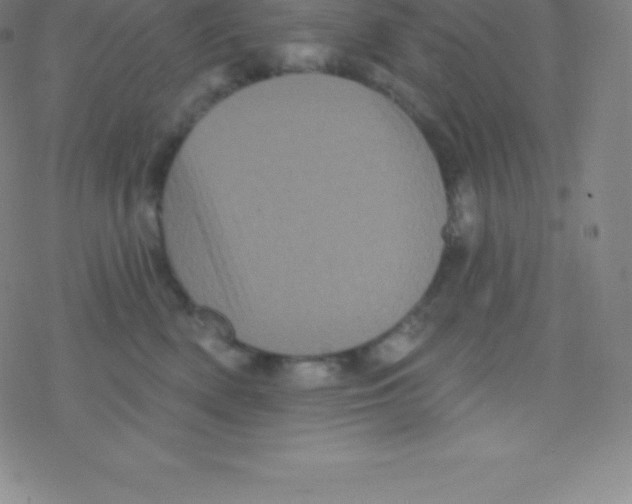 X0000077350522200611101617