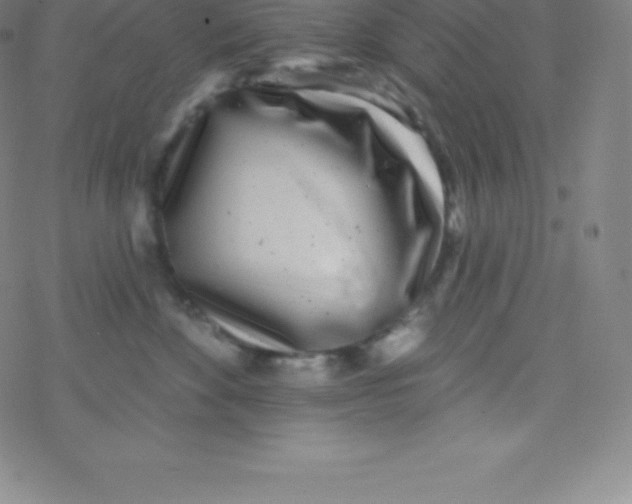 X0000077350524200611101617