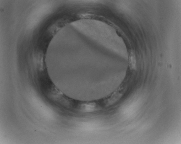 X0000077350525200611101617