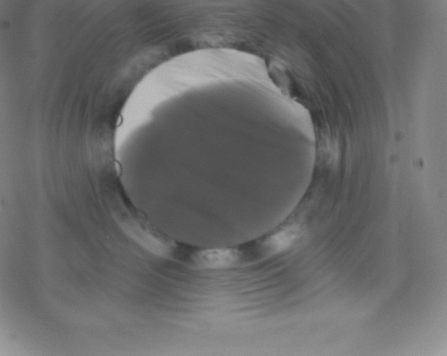 X0000077350526200611101617