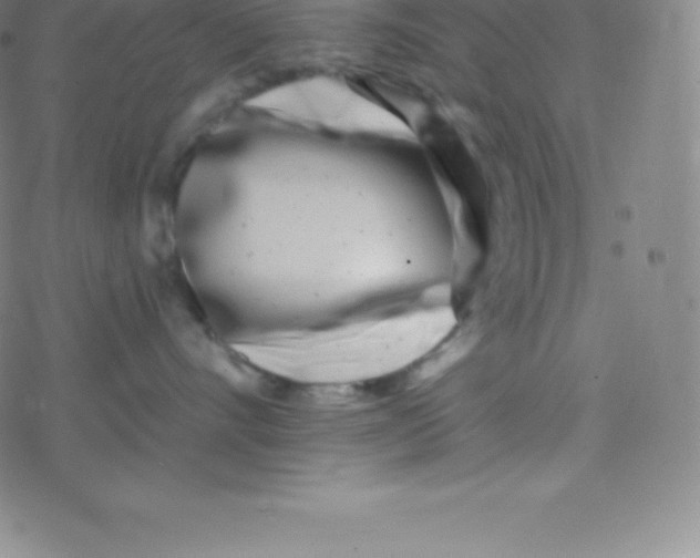 X0000077350528200611101617