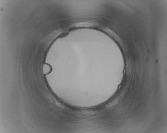 X0000077350529200611101616