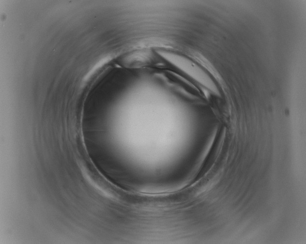 X0000077350530200611101616