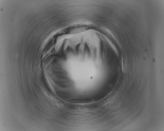 X0000077350531200611101616