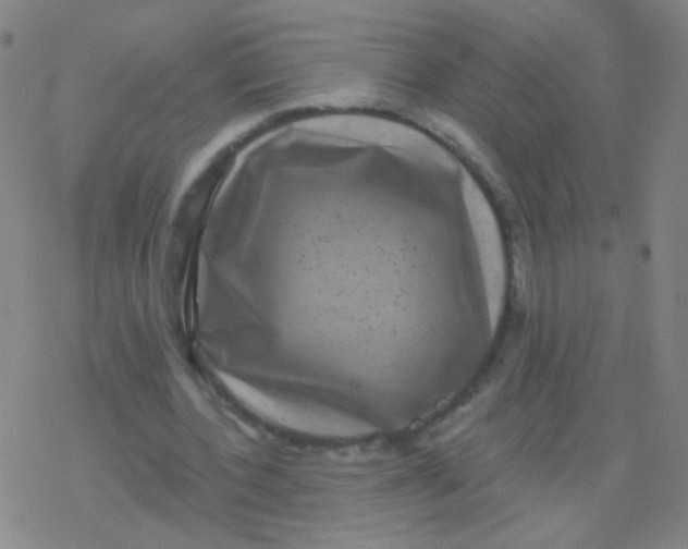 X0000077350532200611101616