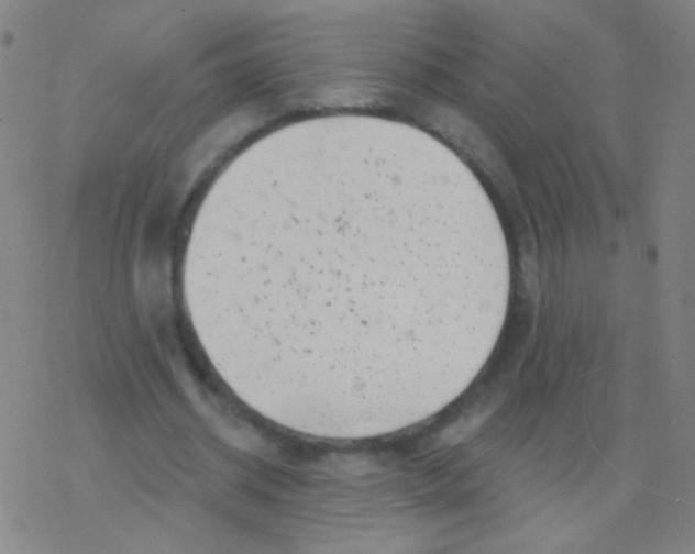 X0000077350534200611101616