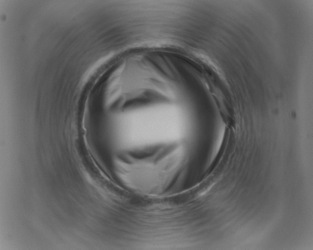 X0000077350536200611101616