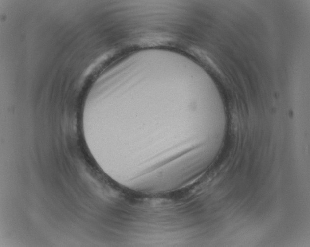 X0000077350539200611101616