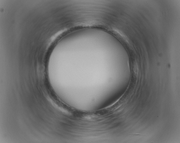 X0000077350540200611101616