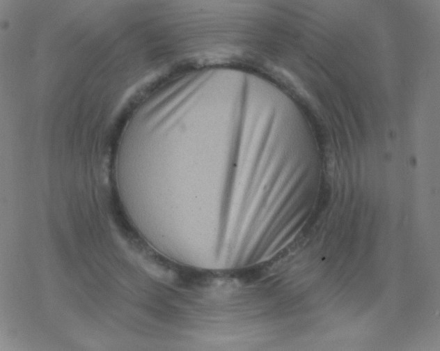 X0000077350543200611101616