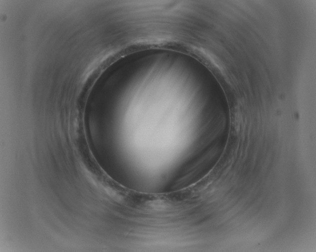 X0000077350544200611101616