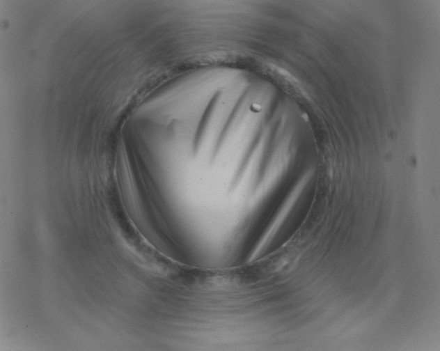 X0000077350546200611101616