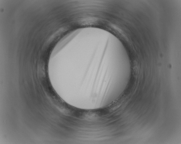 X0000077350547200611101616