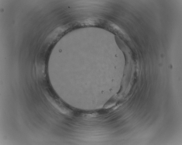 X0000077350548200611101616