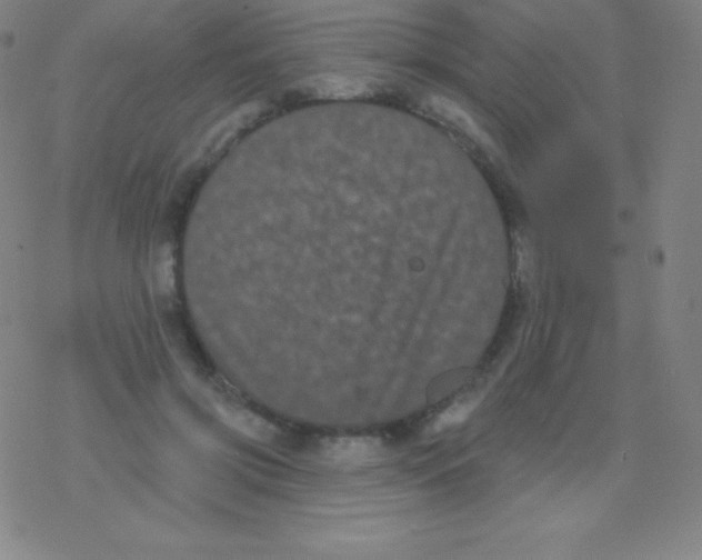 X0000077350549200611101616