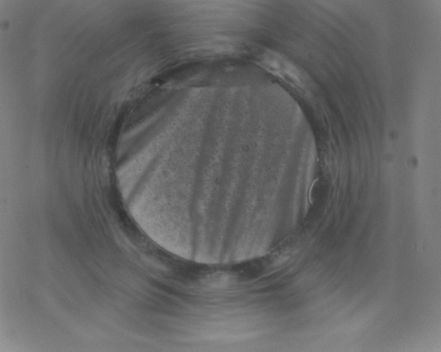 X0000077350551200611101616