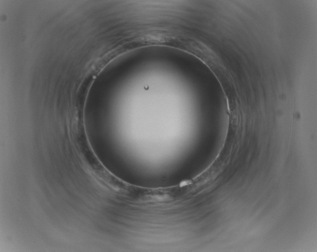 X0000077350552200611101616