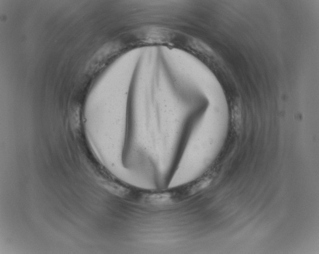 X0000077350554200611101616