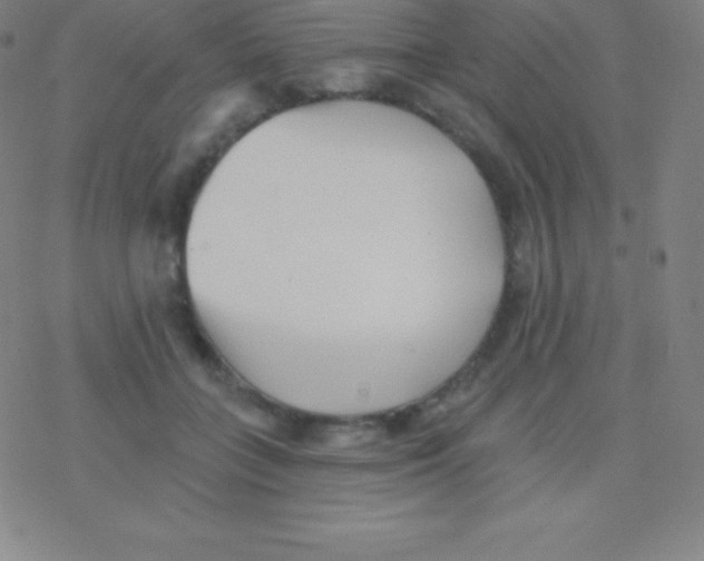 X0000077350555200611101617