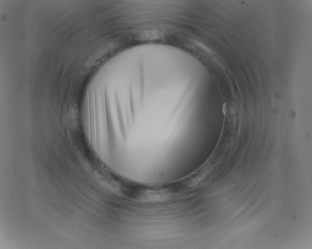 X0000077350556200611101617