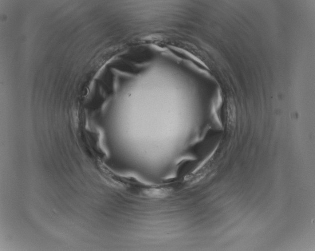 X0000077350558200611101617