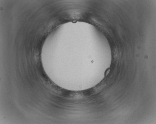 X0000077350559200611101617