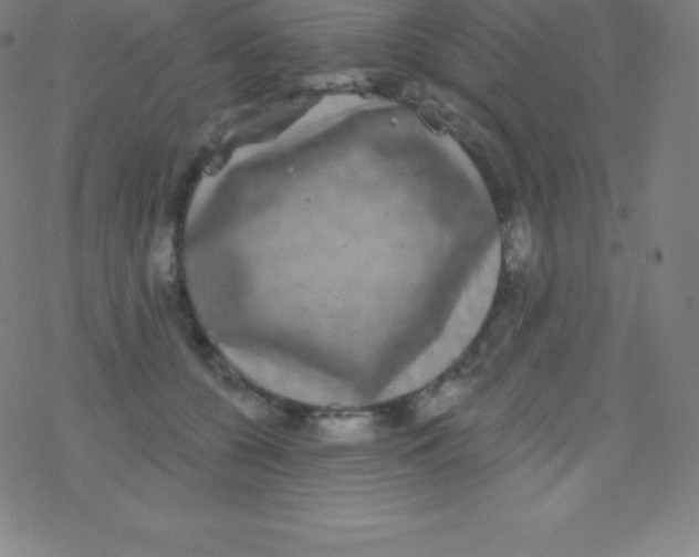 X0000077350560200611101617