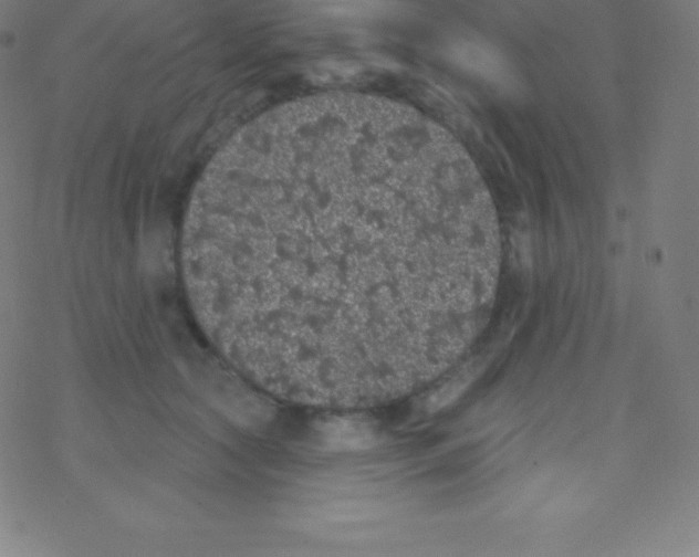 X0000077350561200611101617