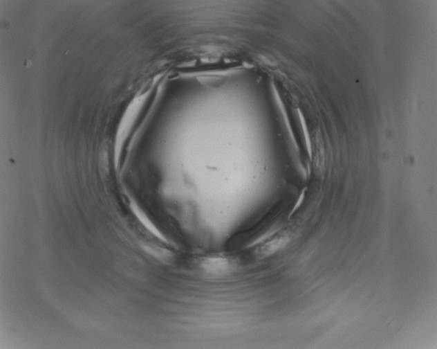 X0000077350562200611101617