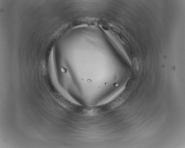 X0000077350564200611101617