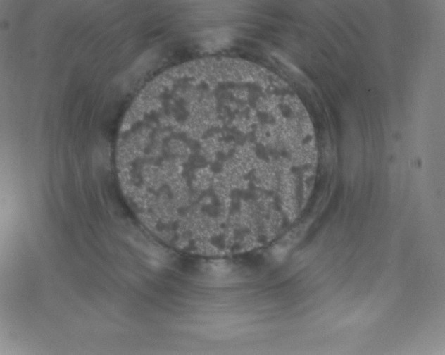 X0000077350565200611101617