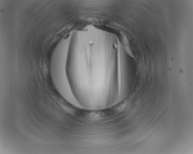 X0000077350566200611101617