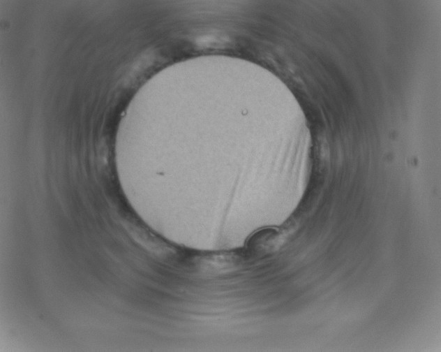 X0000077350567200611101617