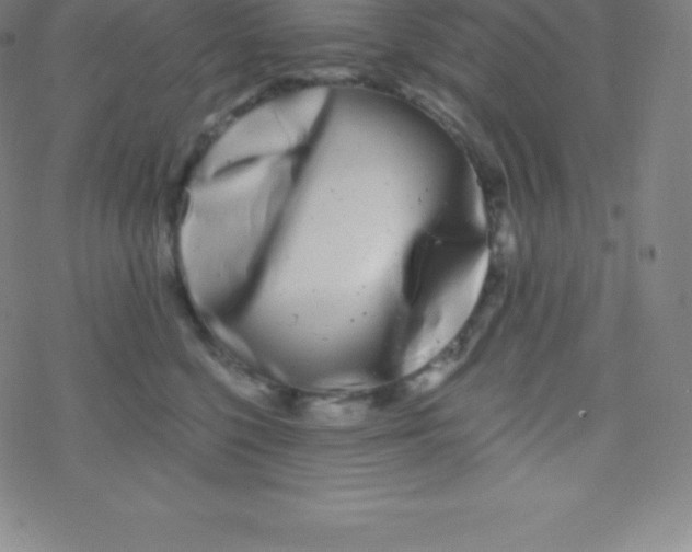 X0000077350568200611101617