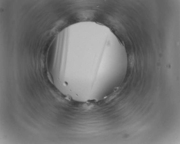 X0000077350570200611101617