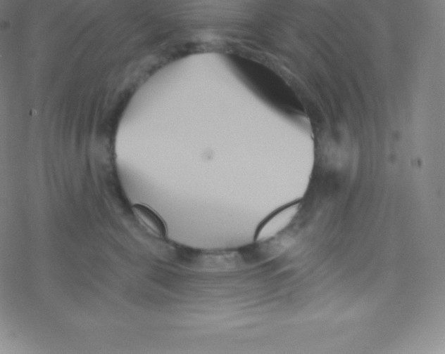 X0000077350571200611101617