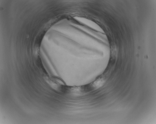 X0000077350574200611101617