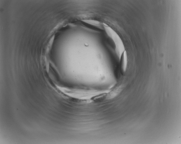 X0000077350576200611101617