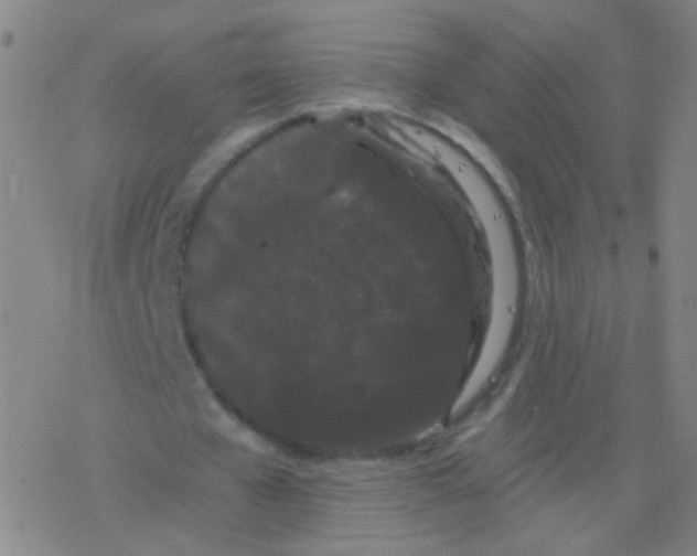 X0000077350577200611101616